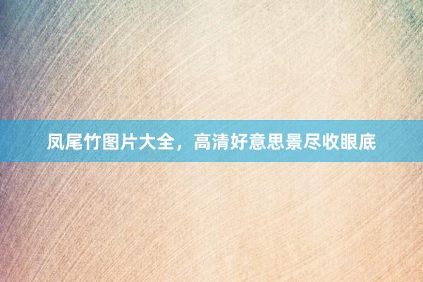 凤尾竹图片大全，高清好意思景尽收眼底